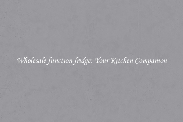 Wholesale function fridge: Your Kitchen Companion
