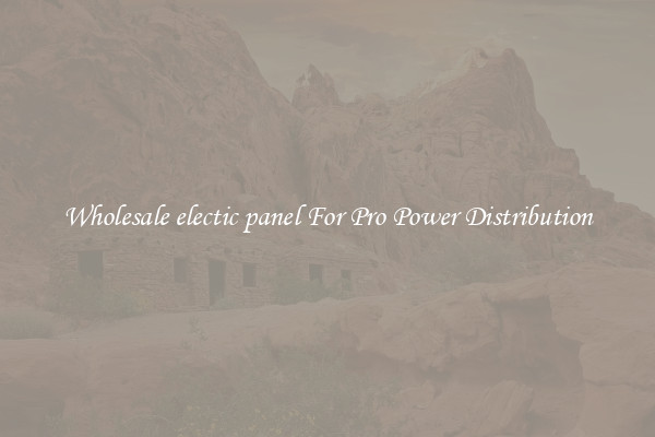 Wholesale electic panel For Pro Power Distribution