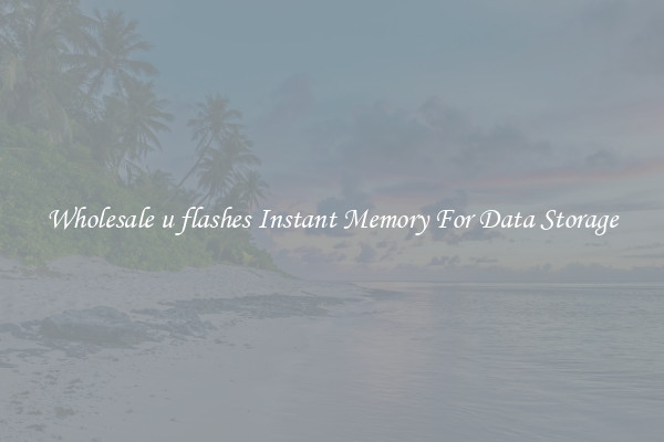 Wholesale u flashes Instant Memory For Data Storage