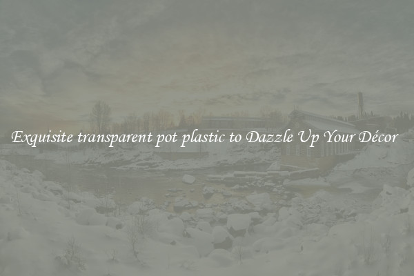 Exquisite transparent pot plastic to Dazzle Up Your Décor  