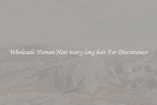 Wholesale Human Hair wavy long hair For Discreteness