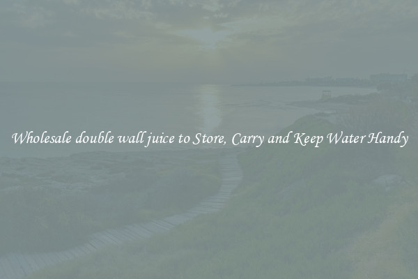 Wholesale double wall juice to Store, Carry and Keep Water Handy