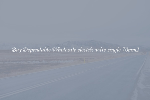 Buy Dependable Wholesale electric wire single 70mm2