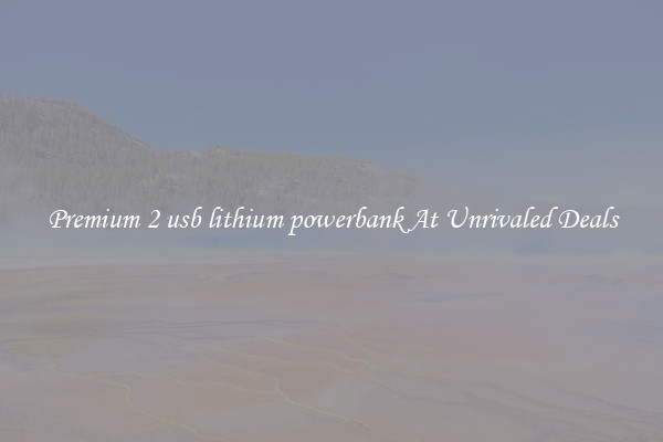 Premium 2 usb lithium powerbank At Unrivaled Deals