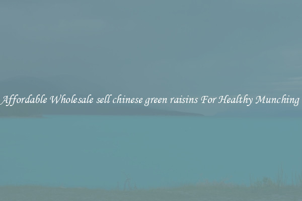 Affordable Wholesale sell chinese green raisins For Healthy Munching 