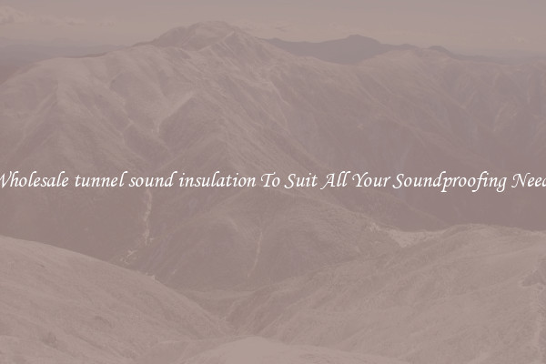 Wholesale tunnel sound insulation To Suit All Your Soundproofing Needs