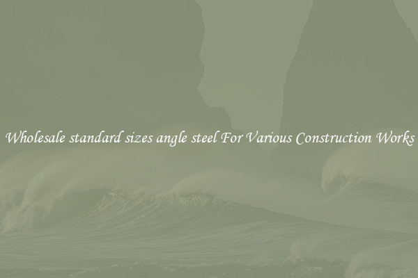 Wholesale standard sizes angle steel For Various Construction Works