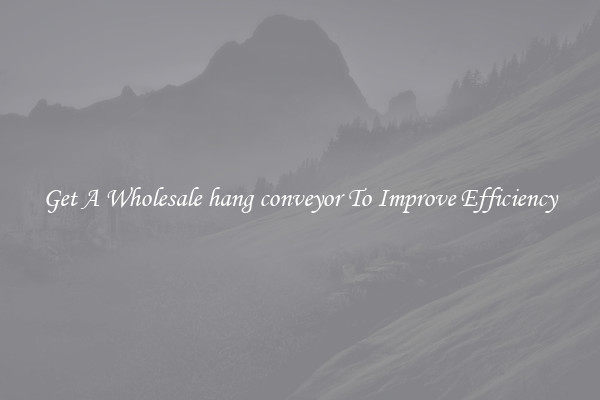 Get A Wholesale hang conveyor To Improve Efficiency