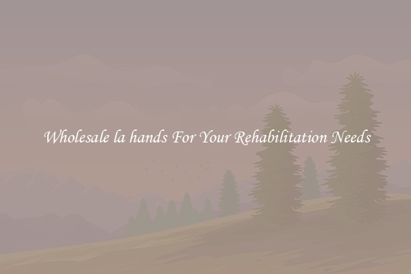 Wholesale la hands For Your Rehabilitation Needs