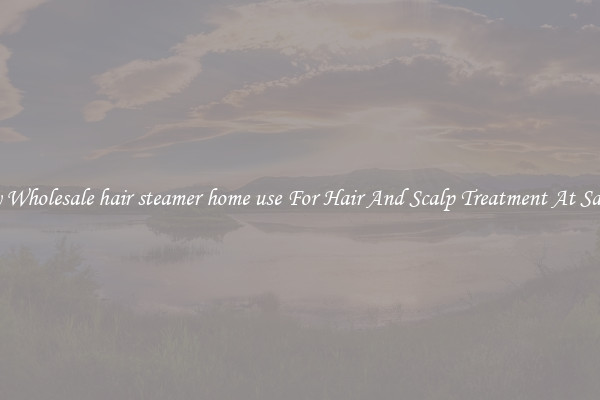 Buy Wholesale hair steamer home use For Hair And Scalp Treatment At Salons