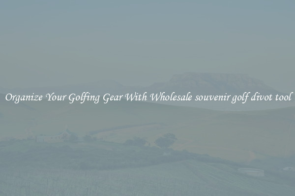Organize Your Golfing Gear With Wholesale souvenir golf divot tool