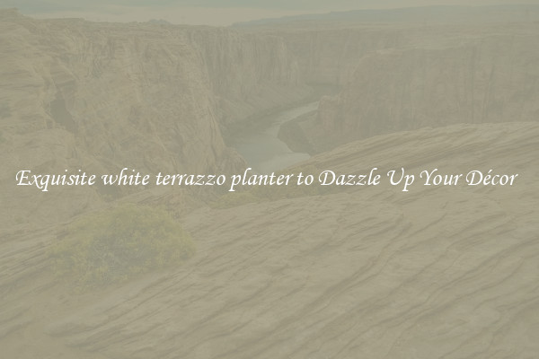 Exquisite white terrazzo planter to Dazzle Up Your Décor  