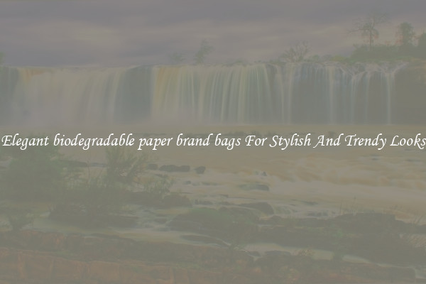 Elegant biodegradable paper brand bags For Stylish And Trendy Looks