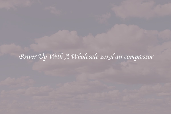 Power Up With A Wholesale zexel air compressor