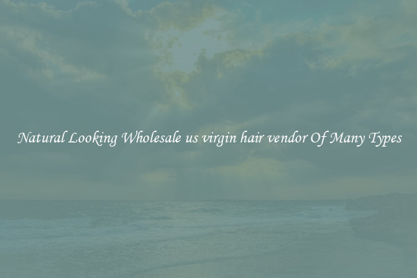 Natural Looking Wholesale us virgin hair vendor Of Many Types